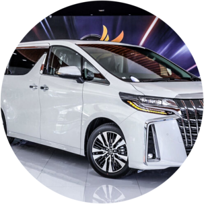 Ремонт Диагностика Toyota Alphard