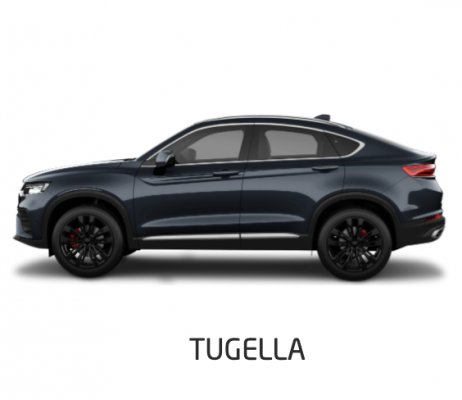 Ремонт Диагностика Tugella